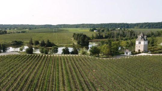 Dobbin Estate Winery